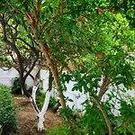 House With Garden In Of Rhodes Будинок відпочинку *