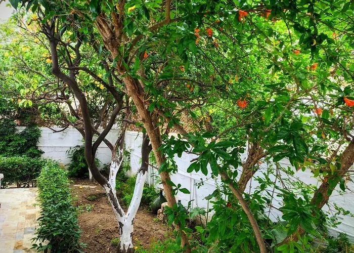 House With Garden In Of Rhodes Semesterbostad *